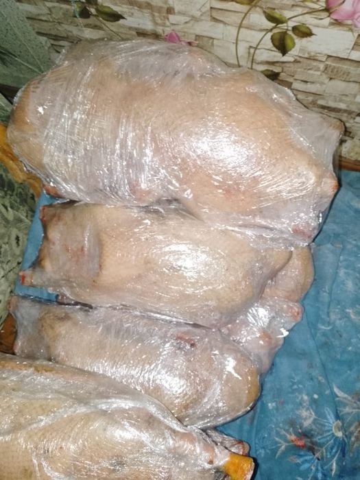Продам мясо гуся