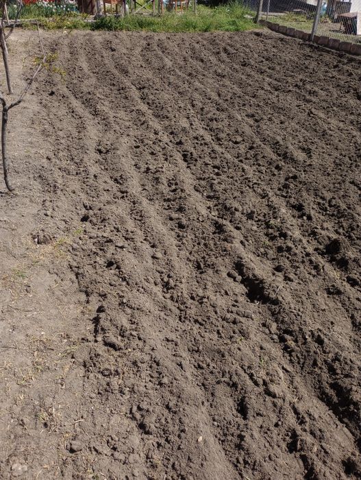 Оран,фрезоване,косене...

+ ФРЕЗОВАНЕ с мото