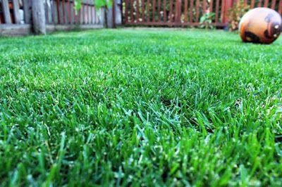 Оптом Суний Искусственный газон ЭНГ АРЗОН НАРХДА