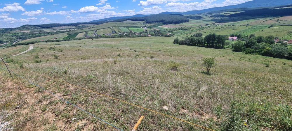 Teren intravilan / extravilan 4  e mp. 14 Hectare