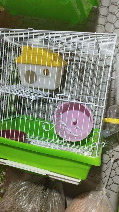 Джунгарики  хомки