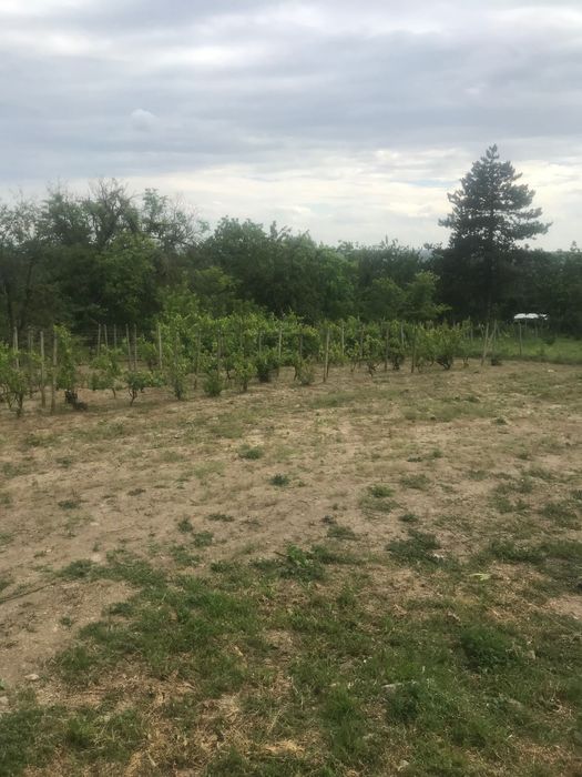 Продава се Парцел в Русе, Алеи Възраждане - 1000 кв.м за 10 €/кв.м - Снимка #1