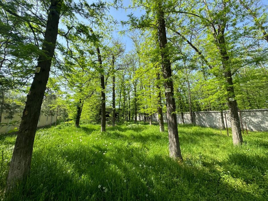 Продается дом на Дендропарке