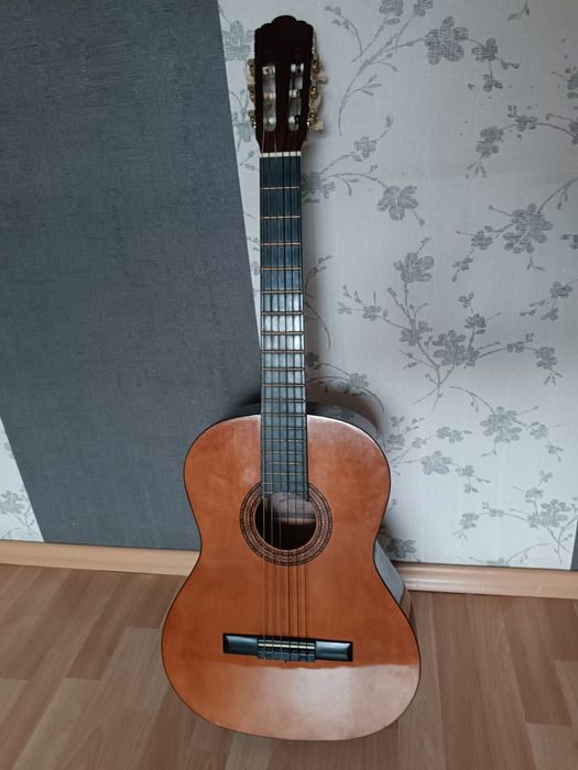 Гитара Starsun cg200