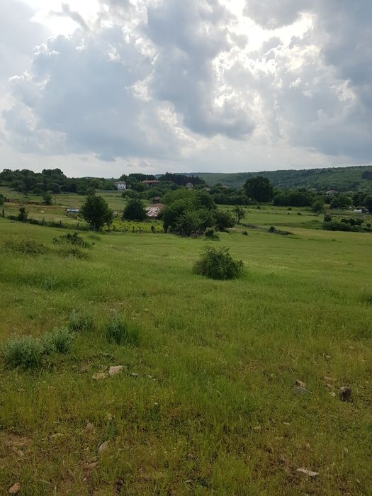 Продавам 6.5 дка двор в регулация в с.Козичино