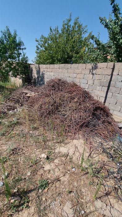 Дрова бесплатно.