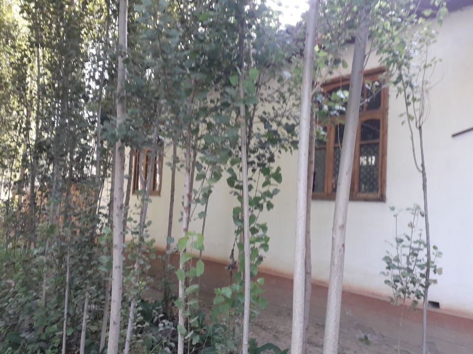 Уй 4 хонали ҳовли ва боғлари бор