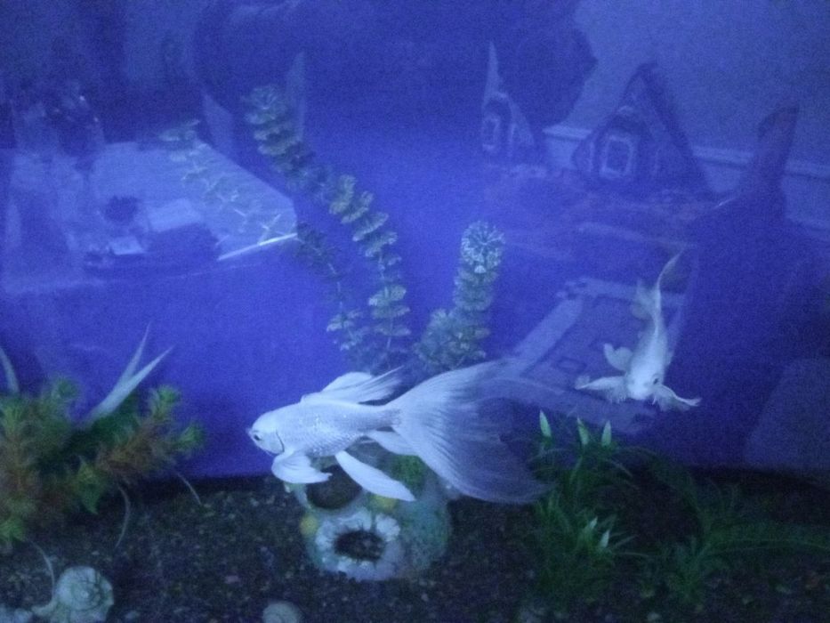 4445 Мебел для дома