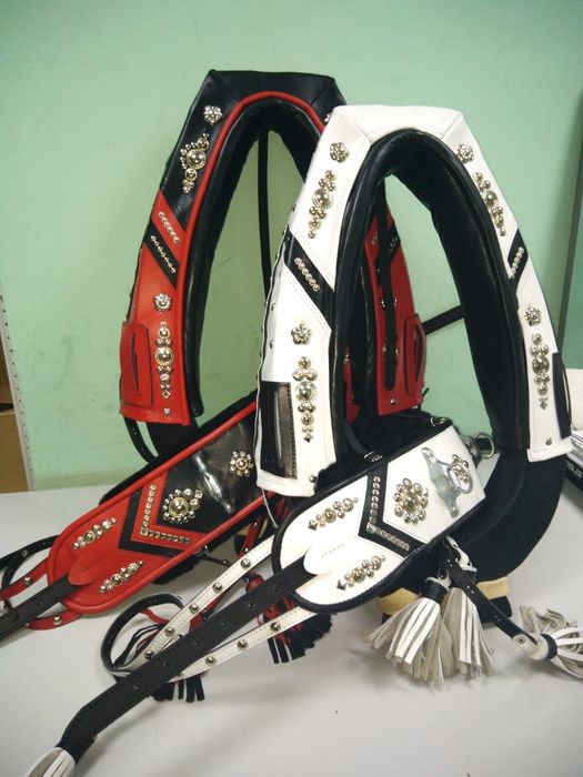 Упряжь парадная для лошади