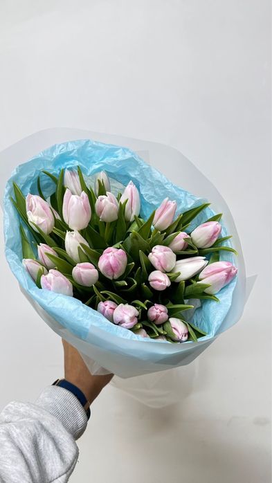 Тюльпаны оптом от 1000шт