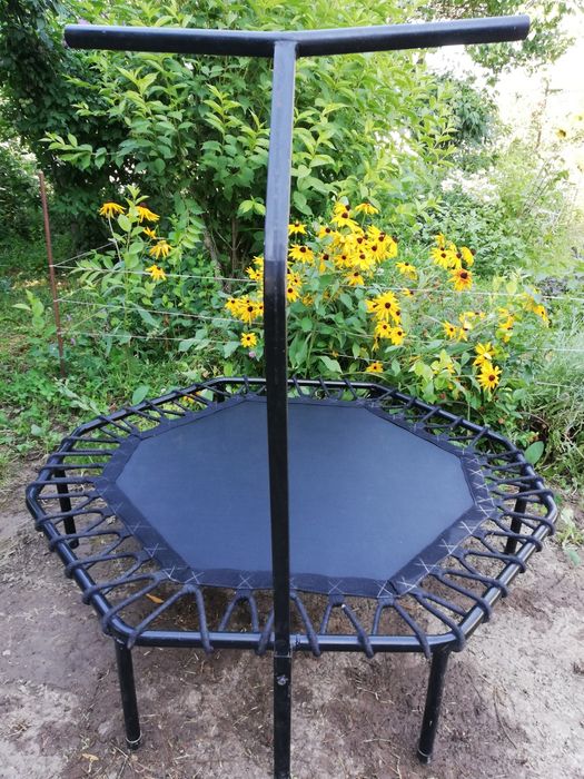 Фитнес батут Pro Jumping