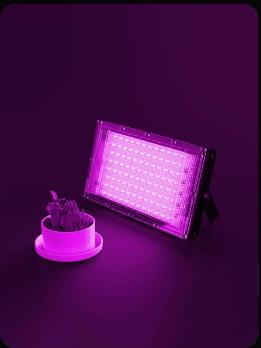 Фито лампа для выращивания растений