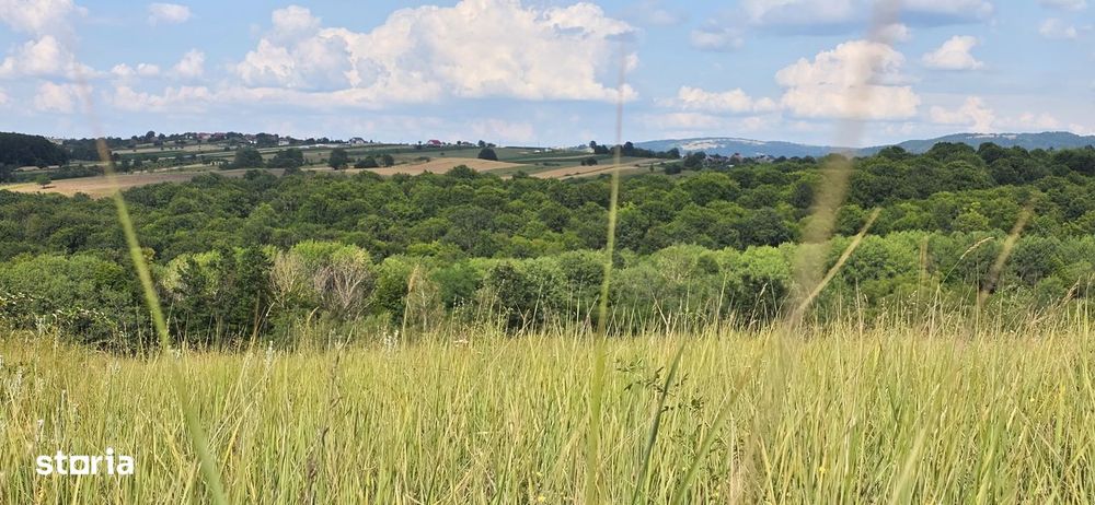 Teren Extravilan 9.528mp/ Vârciorog -Bihor / 30 km de Oradea