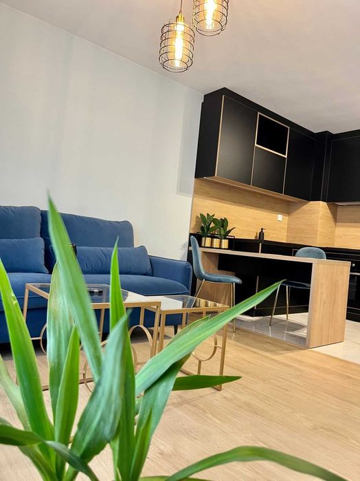 Тристаен апартамент в Каменица 1