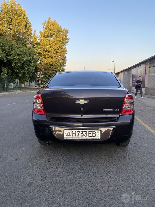Cobalt 2019 choko
