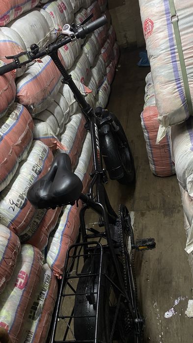 Електро велик