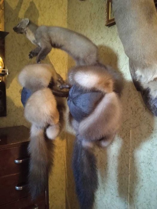 Малахай, шапка ушанка