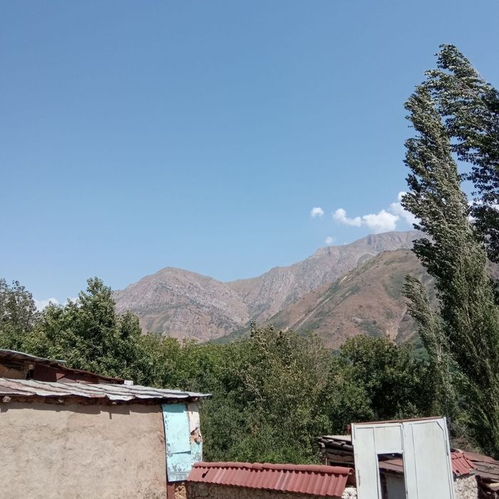 Toshkent viloyati Boʻstonliq tumani polvonak qishlogʻi