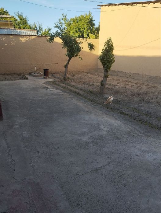 Sergelida Fayz kafe orqasi mahhalada