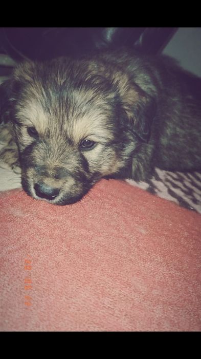 Honor x7 c с гарантией