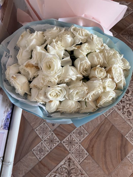 Роза 43шт сатыла