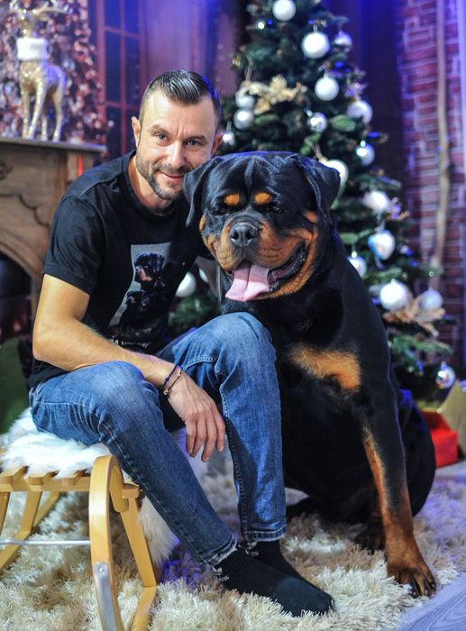 Pui Rottweiler cu pedigree