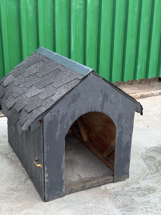 Продается собака такса с домиком