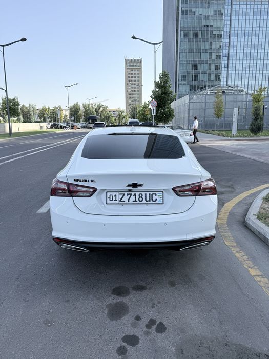 Malibu XL oq Tozza