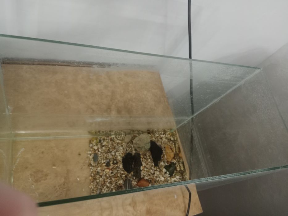 Продам 20 литров аквариум