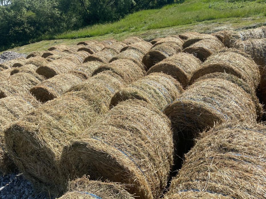 Baloți rotunzi dimensiune 120/120