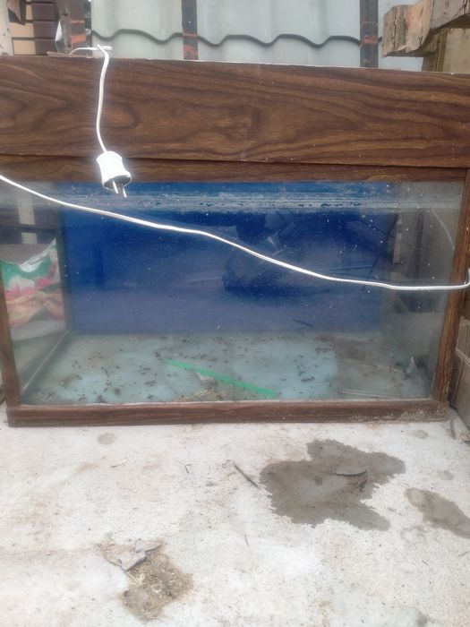 Продам аквариум для