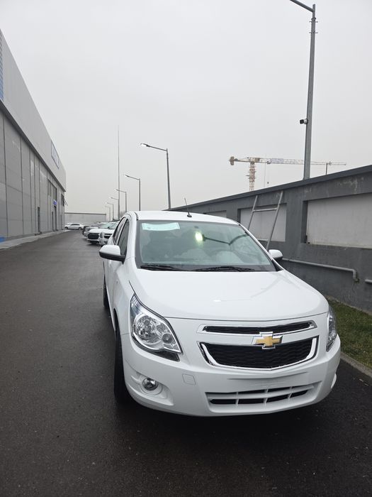 **Cobalt style msm 2026