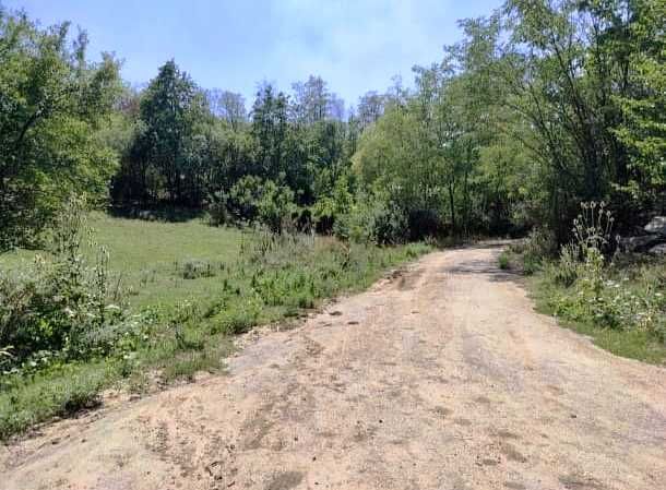 Vând Teren extravilan Valea Călugărească 6000 mp (pășune)
