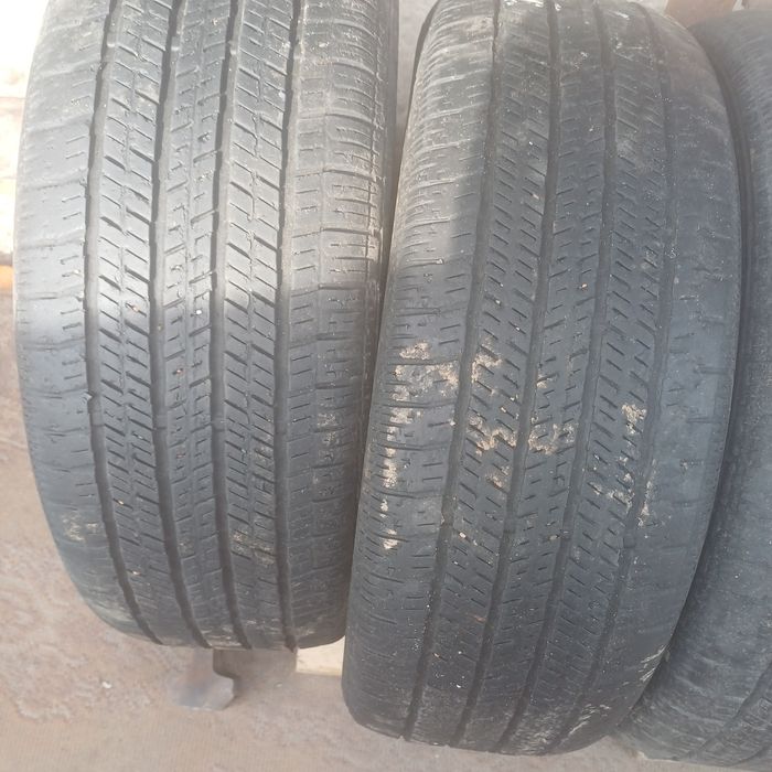 Летняя Соntinental R16