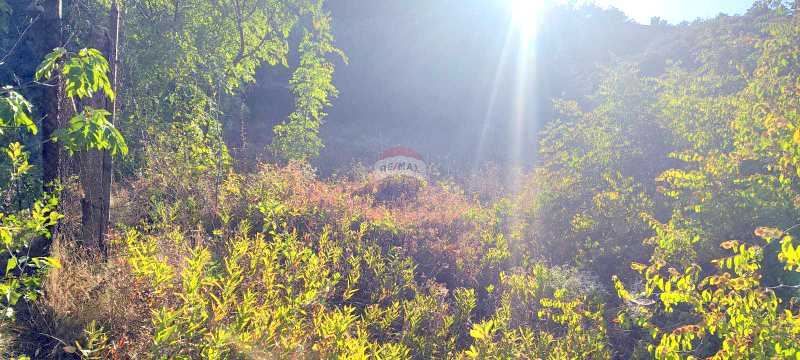 УПИ, м-ст Манастирски Рид, кв. Виница, гр. Варна, ТМ