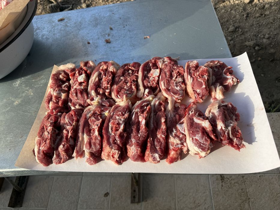 Qoʻshqorlar sotamiz qoylar qoʻylar