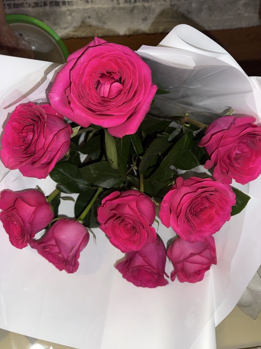 Цветы, гүл. Свежий гүл