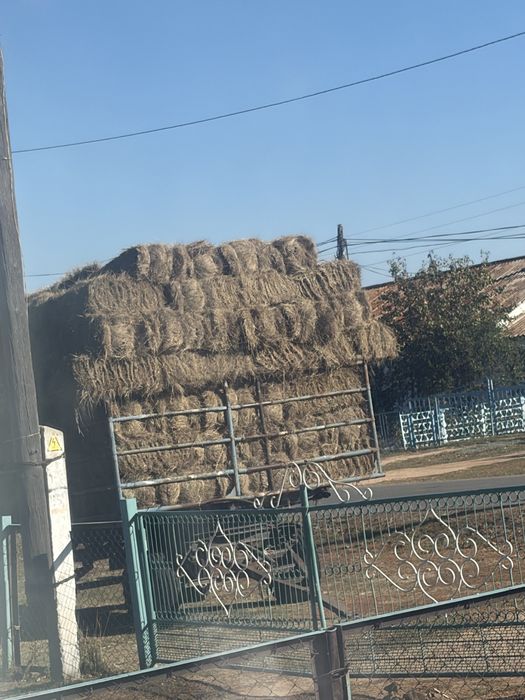 Продам сено в тюках по 900 тнг