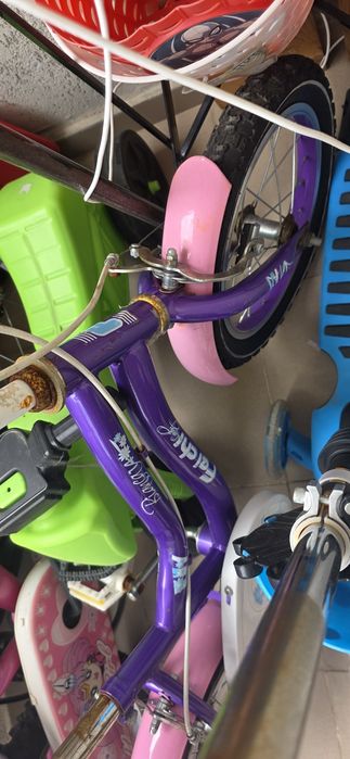 80 lei orice bicicleta sau 50 trotineta