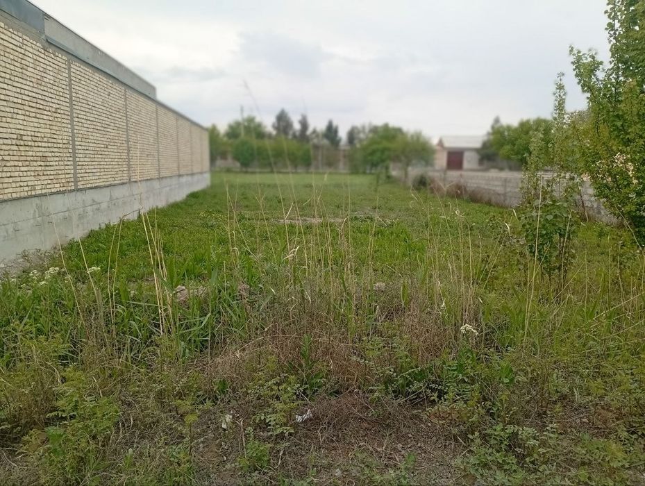 Участок сотилади . ПЕШКУ