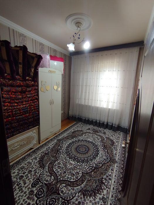 Qoraqamish 3/1/4 chimboy massiv 1