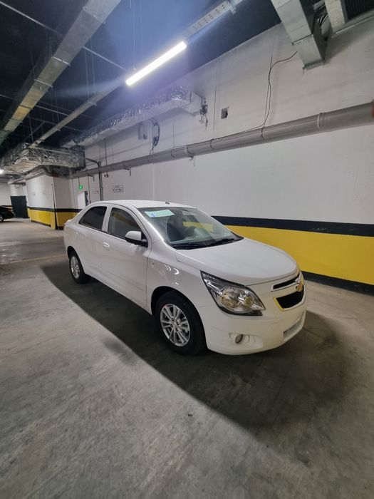 Cobalt 2025/2026 pazitsa masla