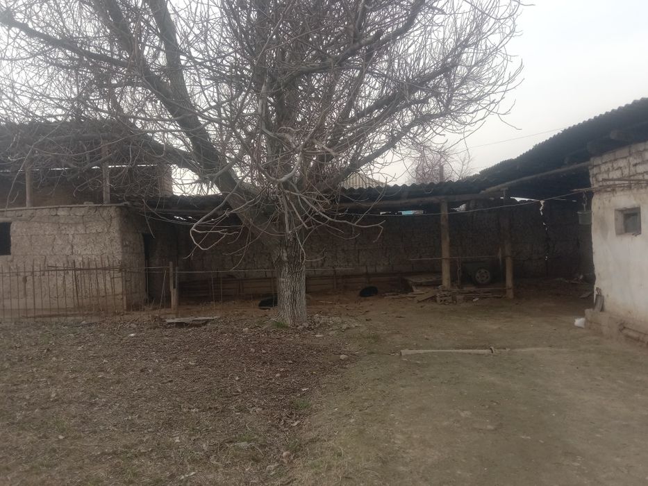 16 сотихли ховли жой