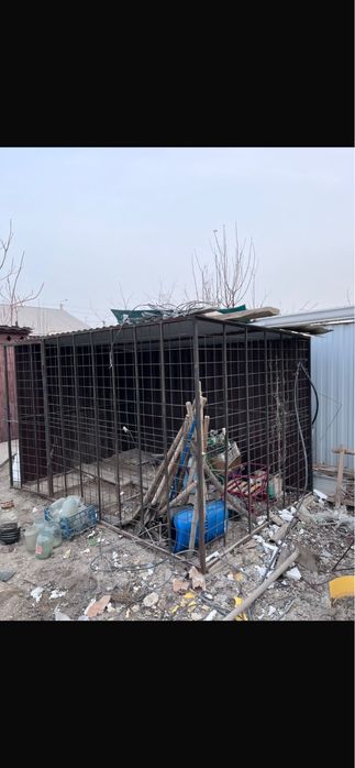 Воллер для собака