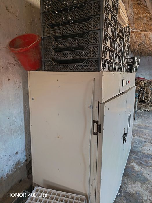 Enkubator aparat 2112 talik