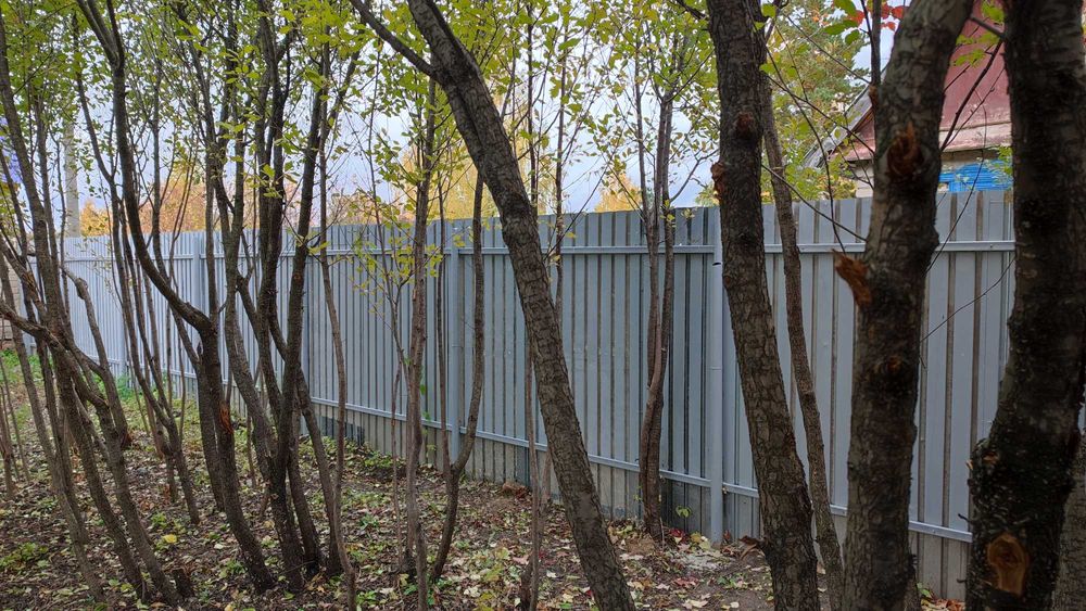 Дача в СТ "Ёлочка"