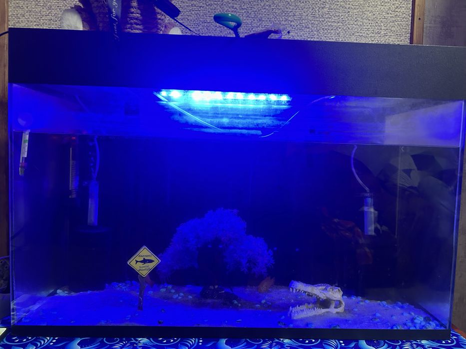 Аквариум на 110 литров