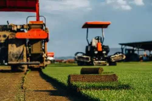 Producător rulouri de gazon ferma Suceava
