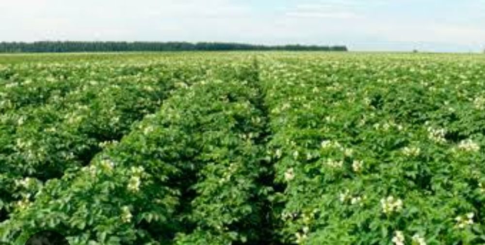 продам действующий бизнес