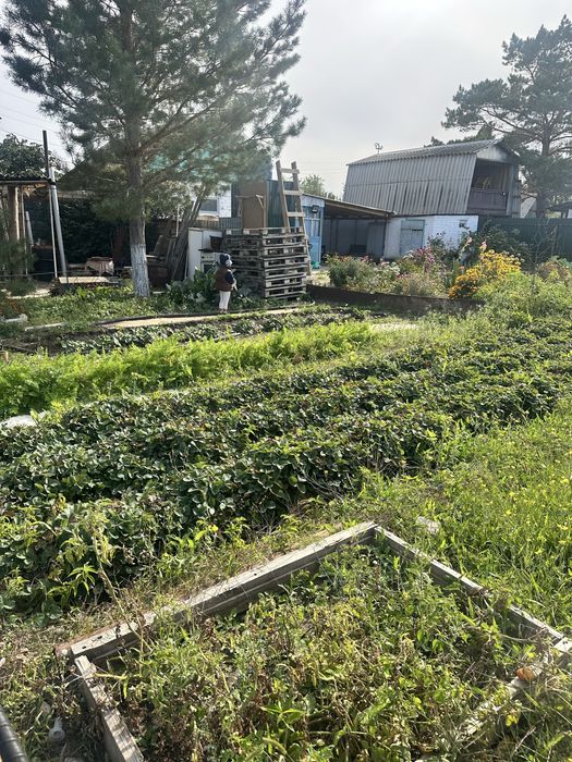 Продам дачу, в стороне саздинского водохранилища